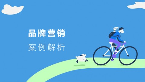 品牌营销案例解析 