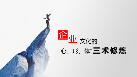 企业文化的“心、形、 